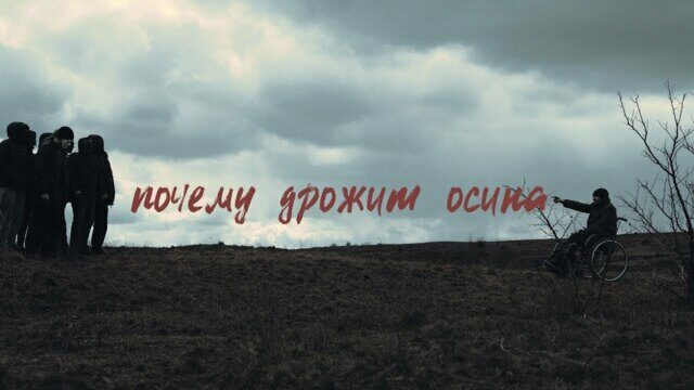 Почему дрожит осина