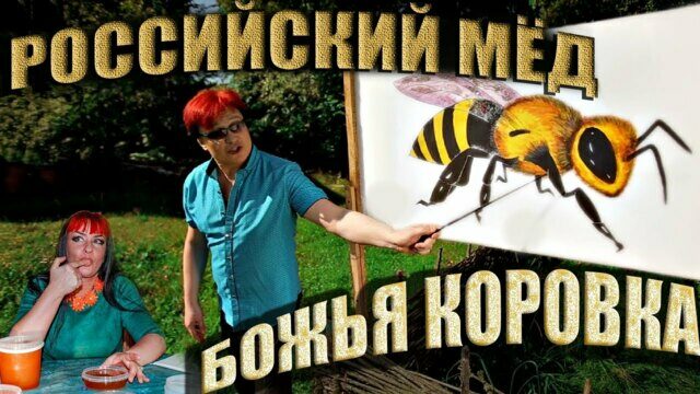 Превью клипа «Российский мёд»