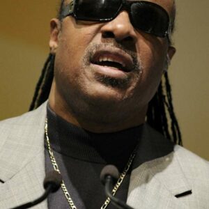 Stevie Wonder