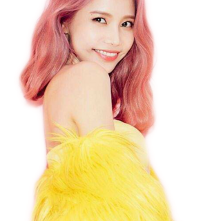 꿀 (HONEY)