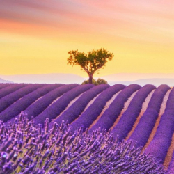 Екатерина Гурьянова