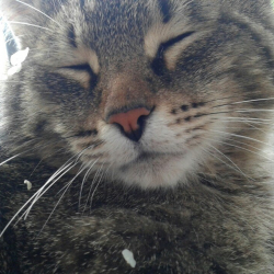 Александра