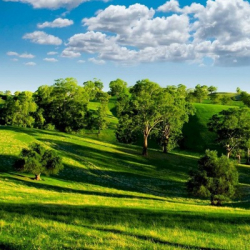 Светлана Юревич