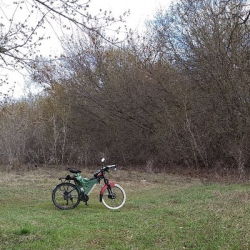 Максим Алексеев