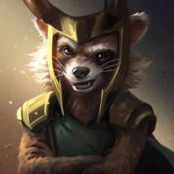 Racoon Rocket
