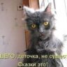 Леонид Овченков