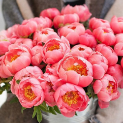 Татьяна Шевченко