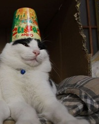 Артём Владимиров