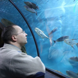 Владимир Беланенко