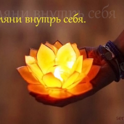 Андрей Чайка