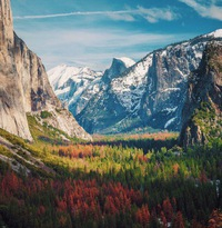 Александр Требушевский