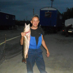 Максим Гаврилов