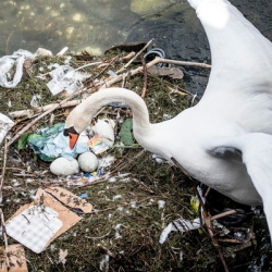 Олег Кумицкий