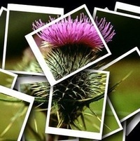 Владимир Стороженко