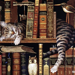 Айгуль Шарафутдинова