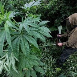 Павел Смирнов