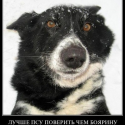 Васенда Пупкин