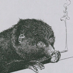 Евгений Забродин