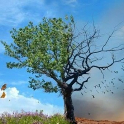 Наташа Бороздина