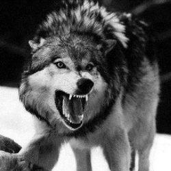 Ильнур Муртазин