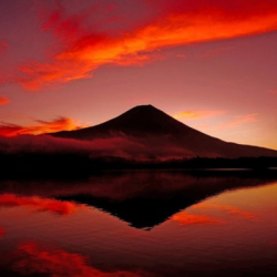 Дмитрий Гришкин