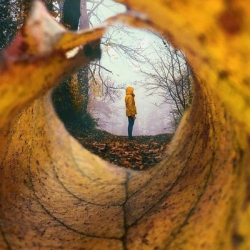 Елена Бондаренко