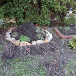 Савелий Потёмкин