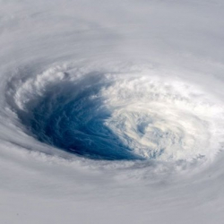 Дмитрий Попов