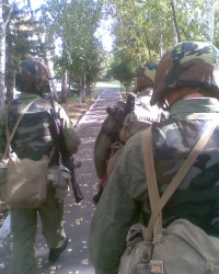 Александр Дударев