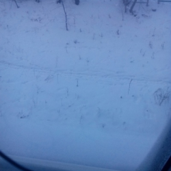 Михаил Розов