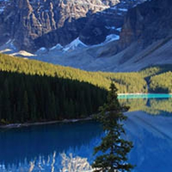 Алексей Шарарамкин