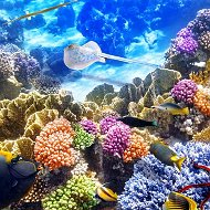 Данил Кармазин