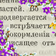 Клара Евстефеева