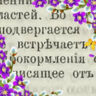 Клара Евстефеева