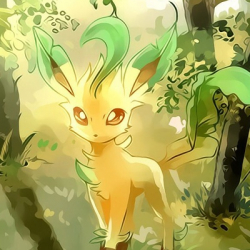 Дима Иванков