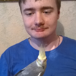 Денис Баребин