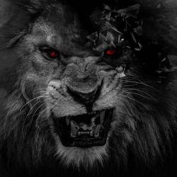 Денис Акуловский