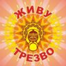 Владимир Кошелев