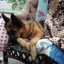 Ольга Киселева