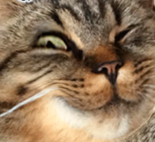 Алина Гущина