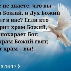 Иван-Соло Иванов