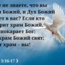 Иван-Соло Иванов