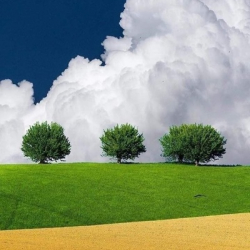 Антон Жимайтук