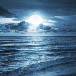 Алексей Лаптандер