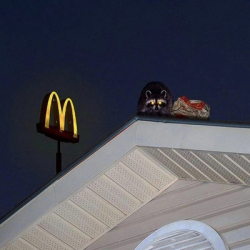 Олег Бердинский