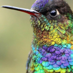 Влад Михальченко