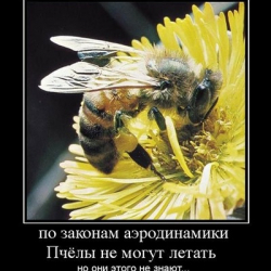 Валерий Цёмкало