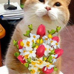 Рустам Гатаулин