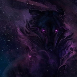 Максим Кудряшов