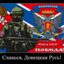 Мрачный Кардинал 228